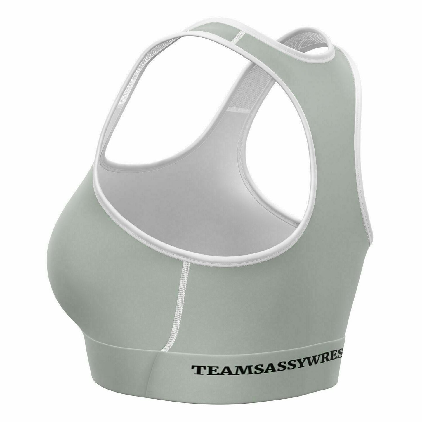 Team Sassy Silver Sports Bra